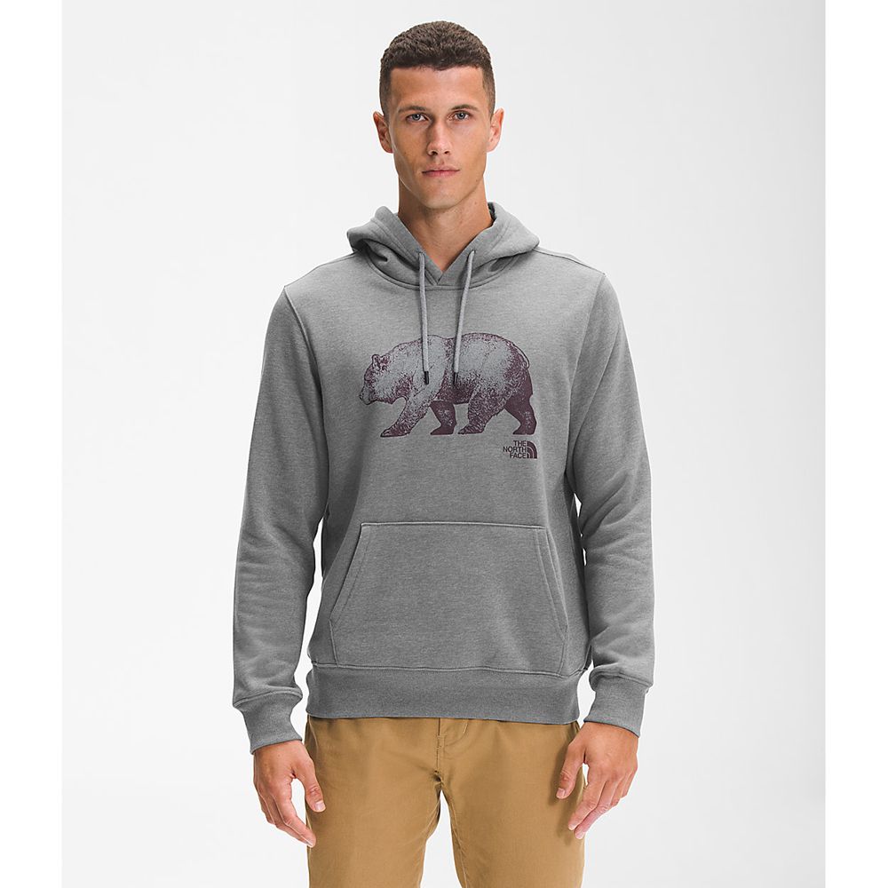 The North Face Hoodie Mens Australia - The North Face Tnf™ Bear Pullover Grey (JYL-610478)